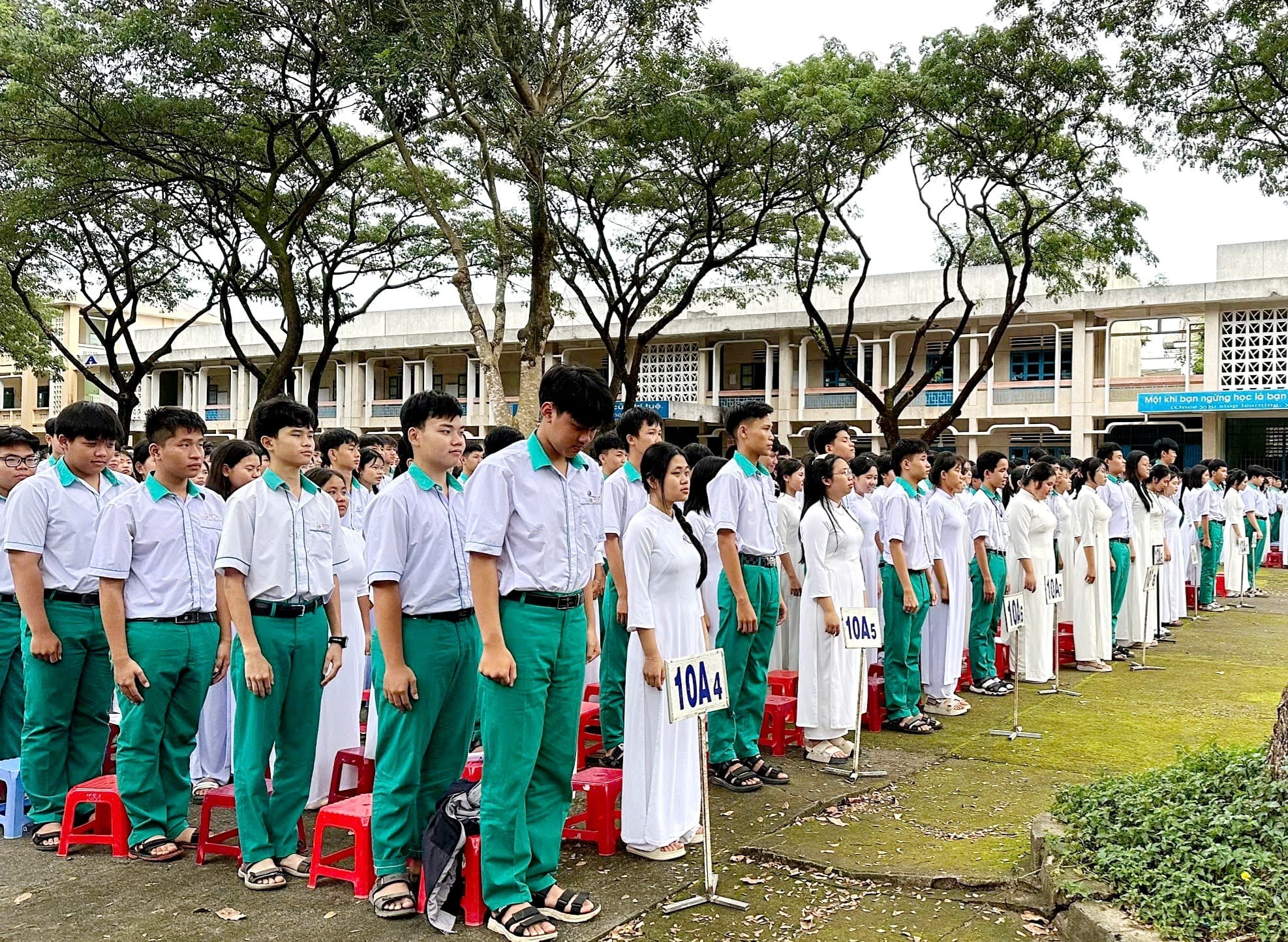 Hưởng Ứng Ngày Thế Giới Tưởng Niệm Các Nạn Nhân Tử Vong Do Tai Nạn Giao Thông 2025
